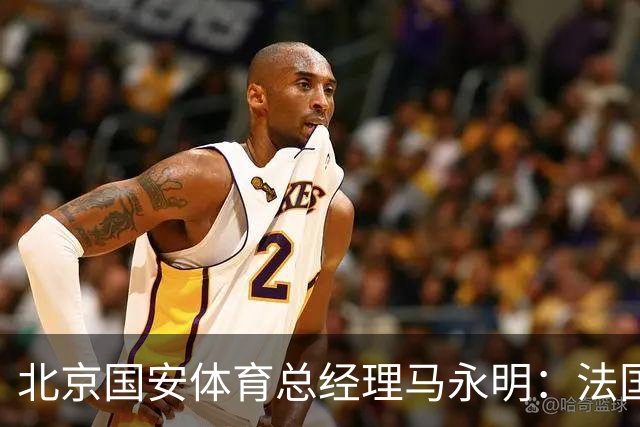 北京国安体育总经理马永明：法国是夺冠热门 德国目标是至少四强